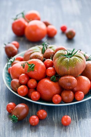 tomates vermelhos