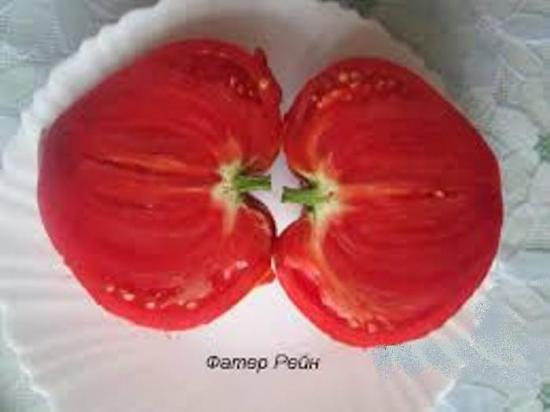 Tomates Vater Rhein