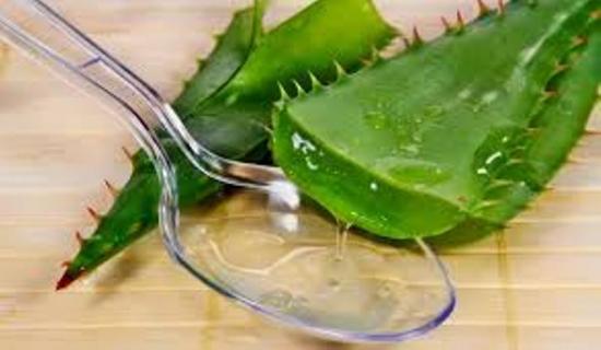 suco de folha de aloe vera 