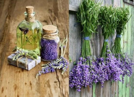 lavanda secando