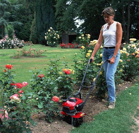 processamento de canteiros de flores com um cultivador manual