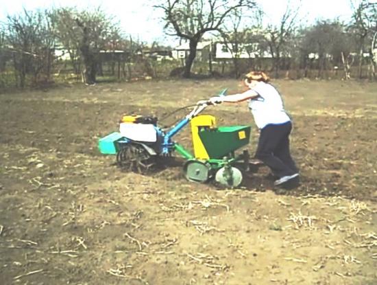 plantador de batata