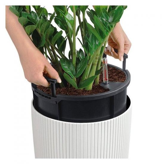 replantar uma planta em vaso com rega automática