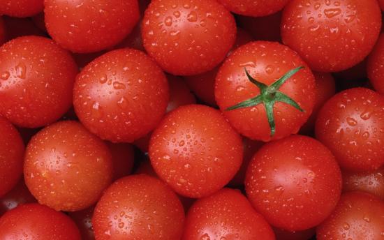 Tomate com crescimento limitado