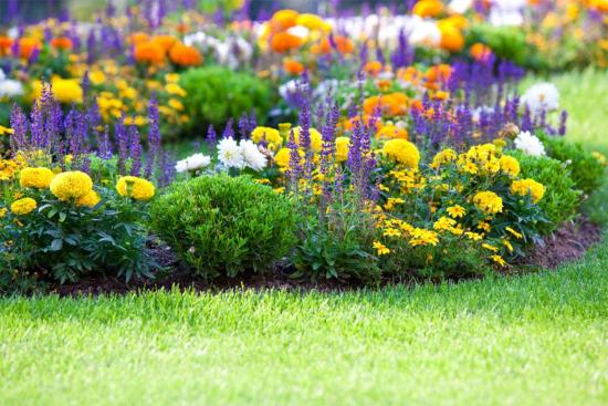 Jardim com floração contínua