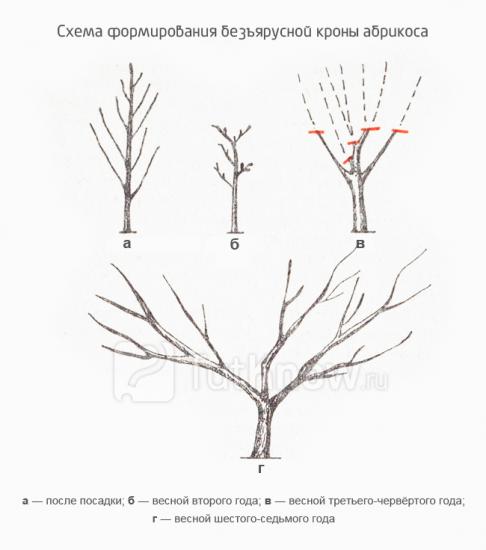 Esquema de corte