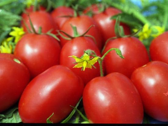 Tomates, frutas