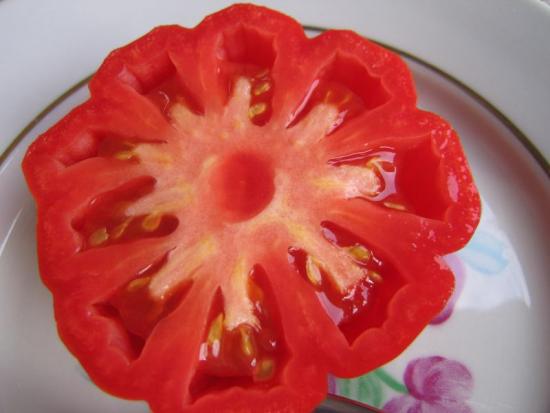 Cesta de cogumelos com tomate