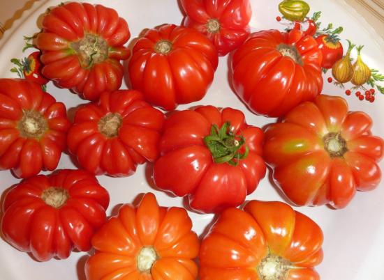 Cesta de cogumelos com tomate