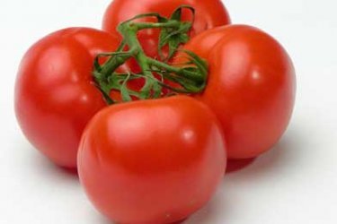 Como escolher tomates para terreno aberto