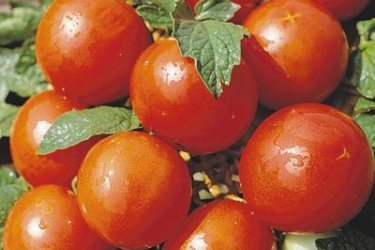 Tomate branco derramado