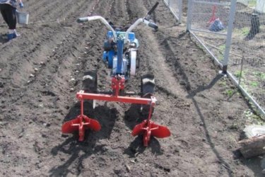 plantando batatas com um trator portátil