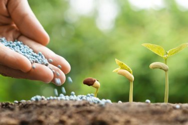 O que se aplica aos fertilizantes minerais