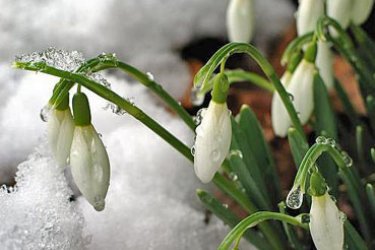 como é um floco de neve