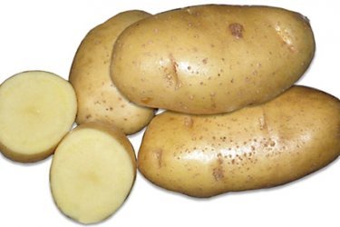 Batata