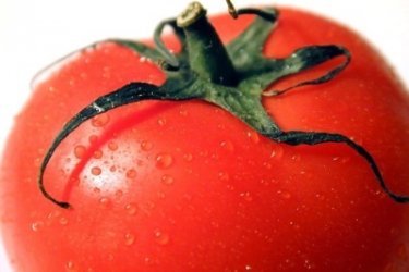 Tomate