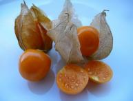 physalis de morango