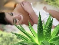 aloe sai para uso doméstico