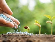 O que se aplica aos fertilizantes minerais