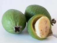 Feijoa