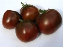 tomate príncipe negro