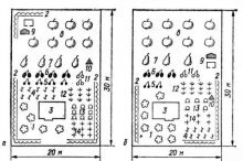 esquema de plantio de árvores