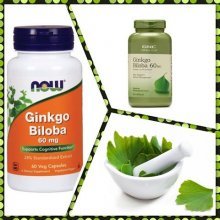 ginkgo biloba