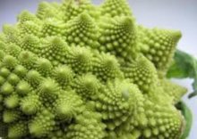 romanescu