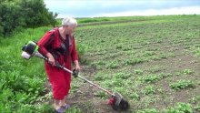 cultivador, acessório de aparador