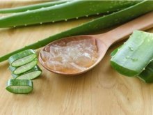 gel de folha de aloe vera