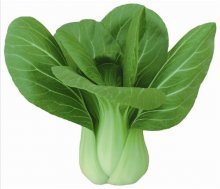 Pak-choi