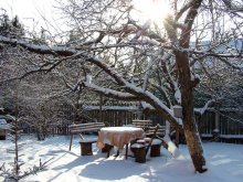 Jardim no inverno