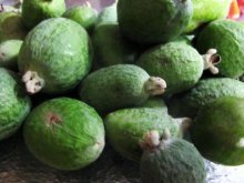 Fruta feijoa