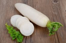 Vegetal de raiz Daikon