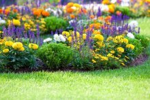 Jardim com floração contínua