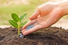 Fertilizantes à base de potássio, grânulos