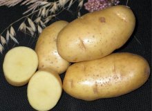 batata