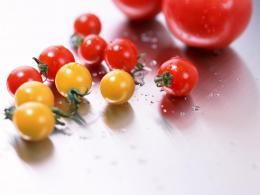  Vídeo passo a passo de plantio de tomate irá ajudá-lo a cultivar tomate cereja 