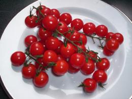 tomate cereja