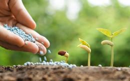 O que se aplica aos fertilizantes minerais