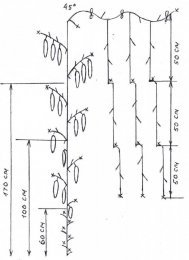 Esquema de pinçamento, formação de arbusto