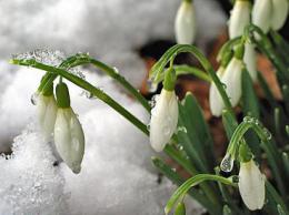 como é um floco de neve