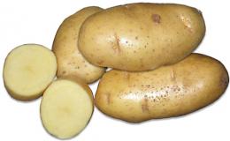 Batata