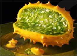 Kiwano dos trópicos