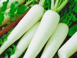 Daikon