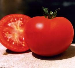 Tomate