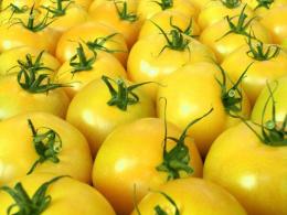 tomates